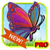 Butterfly Game icon