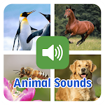 Animal Sounds For Kids Apk