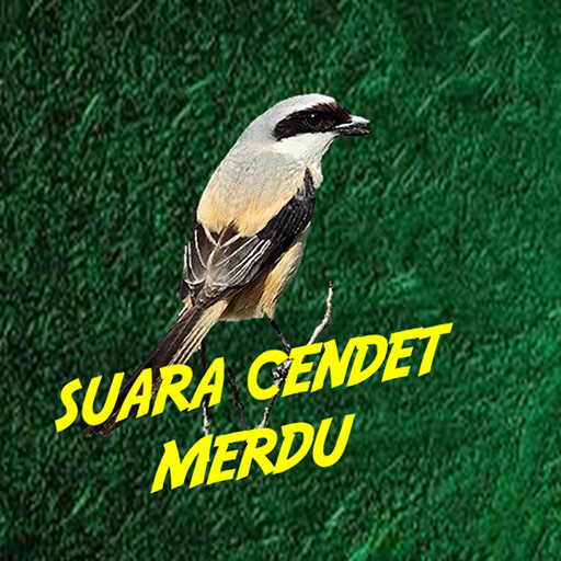 Suara Burung Cendet logo