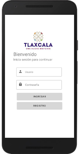 Licencia Digital Tlaxcala Screen 2