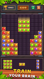 Block Puzzle Gem: Jewel Crush