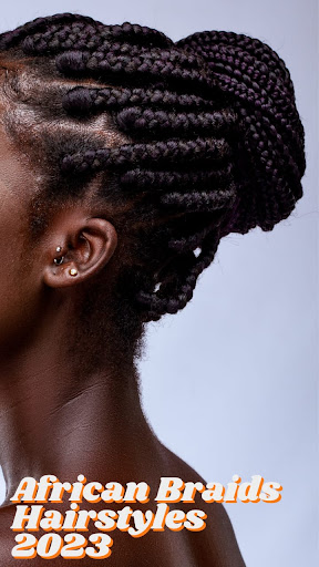 African Braids Hairstyles 2023 Screen 2