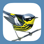 Cover Image of Download Sibley Birds 2nd Edition  APK