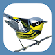 Sibley Birds 2nd Edition Скачать для Windows