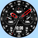 WFP 225 Hybrid watch face