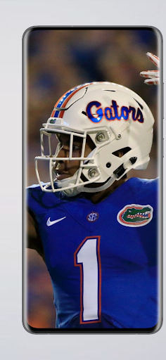 Florida Gators football fans