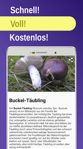 App-Vorschau