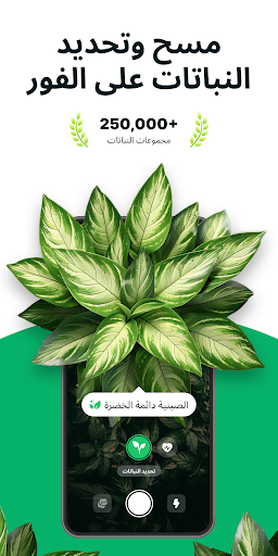 معاينة التطبيق