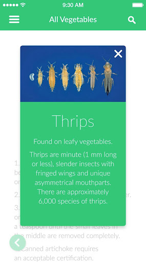 OK Vegetable Checking Guide Screen 3