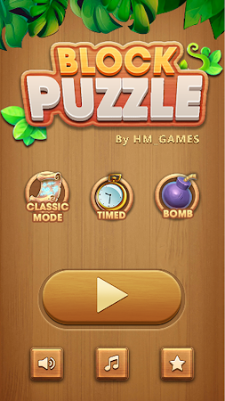 Game screenshot Block Blast: Block Puzzle Game apk download