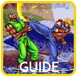 Guide for Double Dragon icon