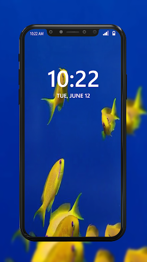 Fish Wallpaper 4K HD