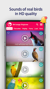 Bird Songs: Ringtones 1.0 APK + Mod (Unlimited money) untuk android