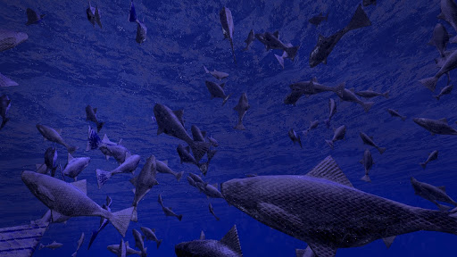 Be a Fish - VR Simulator Screen 2