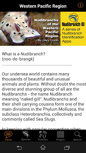Nudibranch ID Western Pacific Screen 2