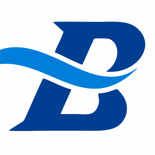 Bigsub - Cheap Data | Airtime logo