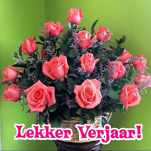 Gelukkige verjaarsdag Beelde Screen 3