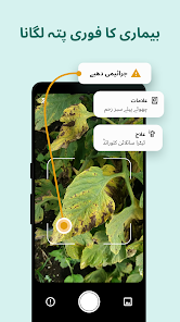 اسکرین شاٹ کی تصویر