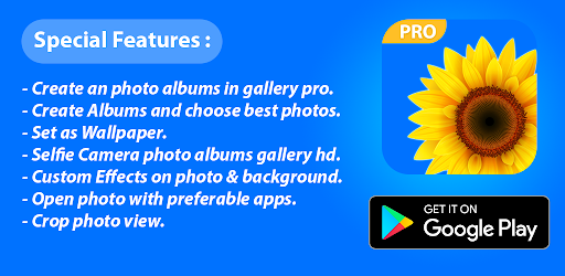 Gallery 2021  Pictures Galler