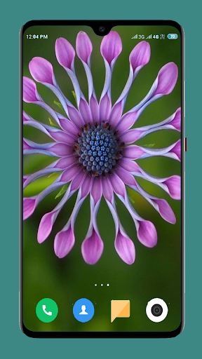 Macro Wallpaper 4K Screen 2