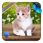 Cover Image of Download Cute Lovely Cat APUS Live Wall  APK