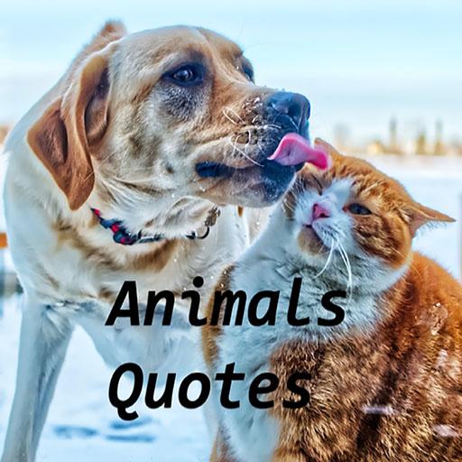 Animals Quote - Apps on Google Play