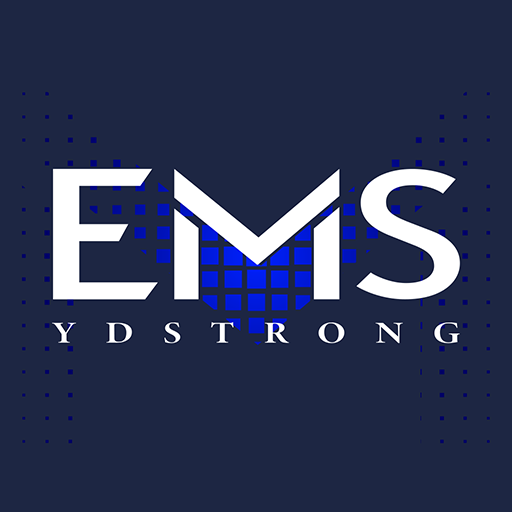 EMS MAX logo