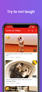 Funny Cat Videos - Kitty Cats