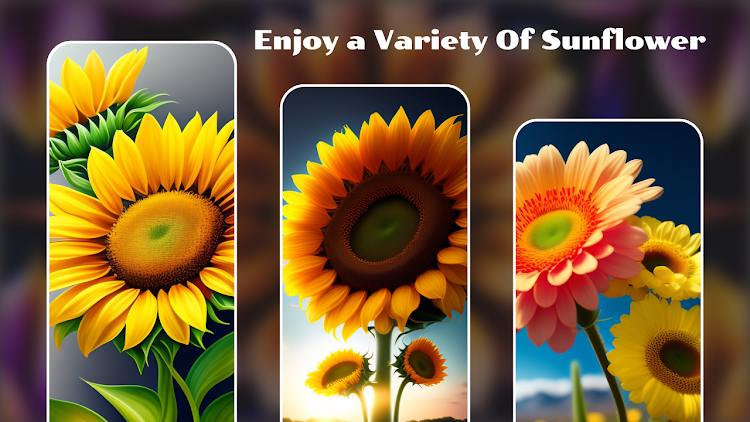 Sunflower Wallpaper - 24 - (Android)