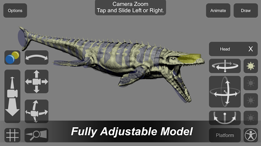 Mosasaurus Mannequin