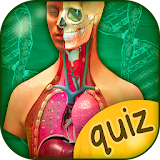 The Human Anatomy Quiz App On Human Body Organs icon