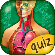 Top 48 Educational Apps Like The Human Anatomy Quiz App On Human Body Organs - Best Alternatives