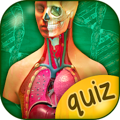 Anatomia Quizzes