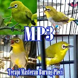 Zosterops Birds MastersTherapy icon