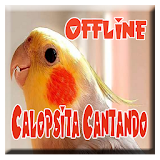 Calopsita Cantando Full Offline icon