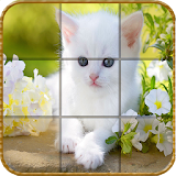 Epic Cute Cats Puzzles icon