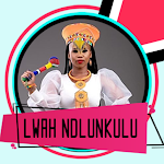 Cover Image of Download Lwah Ndlunkulu Song Music  APK