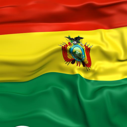 Empleo Bolivia  Icon