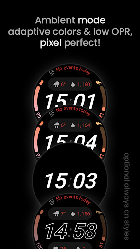 Nord SE: Wear OS 4 watch face Screen 3