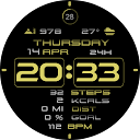 Digital Basic 11