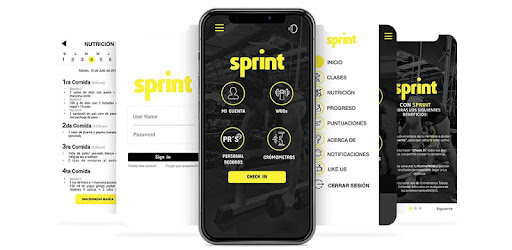 Sprint Training