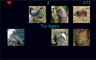 Guess Animal - Screenshot 1