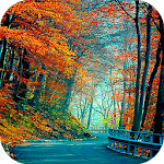Cover Image of Descargar Autumn Live Wallpaper : backgrounds hd 16.0 APK