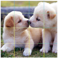 Puzzle Cute Dog - Sliding Puzz