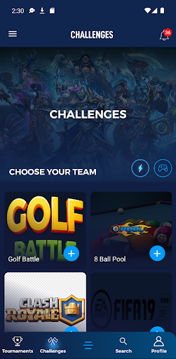 Screenshot of IGL - Indian Gaming League