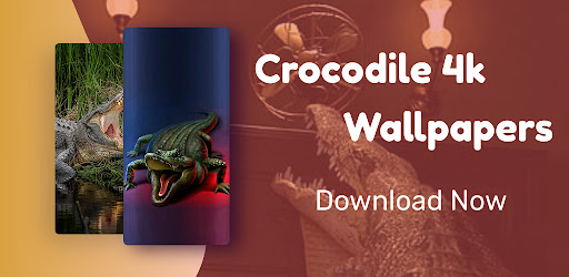 Crocodile 4k Wallpapers