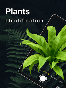 LeafSnap Plant Identification 2.2.7 screenshots 8