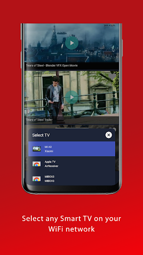 VideoCast DLNA Movie Player Screen 3
