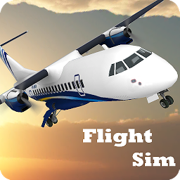 Ikonbilde Flight Sim