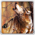 Cover Image of ดาวน์โหลด Wolf Live Wallpaper 24.0 APK